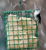 _DSC4680.jpg