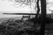 Lonley bench1.jpg