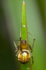 DSC_3989.jpg