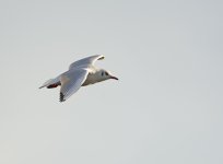 DSC_4205.jpg