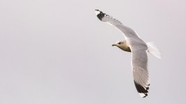 DSC_7755.jpg