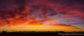 DSC_6089-Pano.jpg