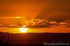 DSC_6118.jpg