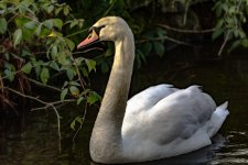 DSC_7853-Edit.jpg