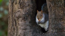 DSC_7982-Edit.jpg