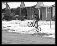 W_DSC_0448.jpg