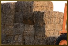 wk1-stacked-cr_D7K0425.jpg