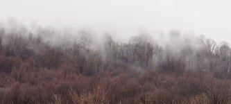 20160110a.jpg