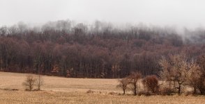 20160110b.jpg