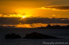 DSC_6225.jpg