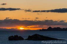 DSC_6184.jpg