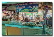 Wat-Saman-Rattanaram5-1 (1).jpg