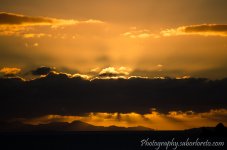 DSC_6202-2.jpg