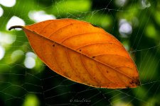DSC_3457.jpg