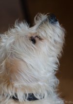 DSC_1538.jpg