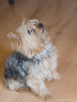 DSC_1542.jpg