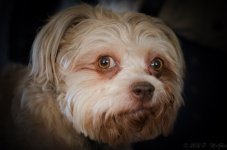 DSC_1684.jpg
