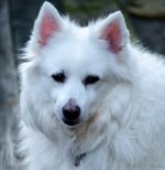 DSC_0866.jpg
