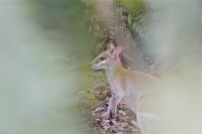 DSC_0037.jpg
