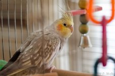 DSC_1688.jpg