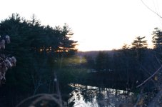 DSC_1768.jpg DSC_1768.jpg