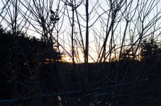 DSC_1777.jpg DSC_1777.jpg