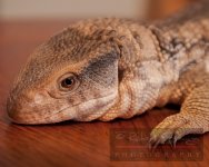DSC_2076.jpg