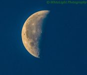 20121207-DSC_5763 (928 x 800).jpg