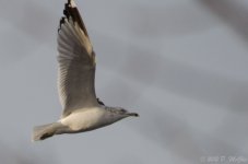 DSC_1821.jpg