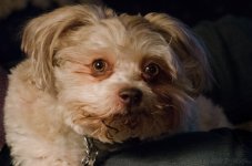 DSC_1732.jpg