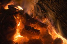 fire2_1sm.jpg