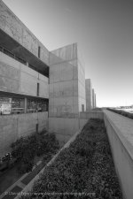 D8A_0452-Edit.jpg