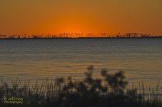 _DSC3899.jpg