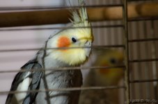 DSC_1851.jpg