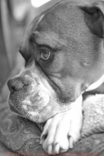 D8A_1641-Edit-Edit-3-sm.jpg