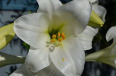 DSC_5412_resize.JPG