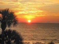 IMG_2295.jpg
