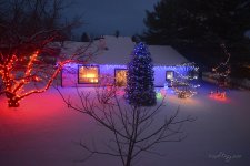 Neighbors' decorations.jpg