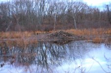 DSC_2218.jpg
