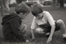 D8A_1929-Edit-sm.jpg