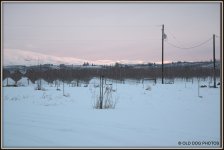 sunrise 600 008.jpg