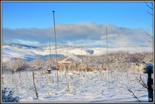 SNOW 001.JPG