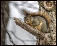 _DSC7750_tonemapped.jpg