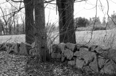 DSC_2333.jpg