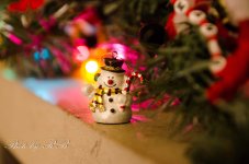 20121224-_1RB1166.jpg