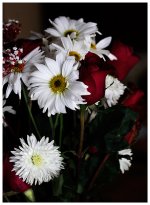 _DSC2649-flowers.jpg
