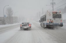 DSC_3603.jpg