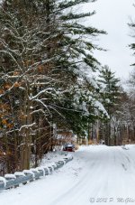 DSC_2465.jpg