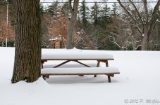 DSC_2475.jpg