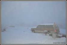 FOG 012.JPG